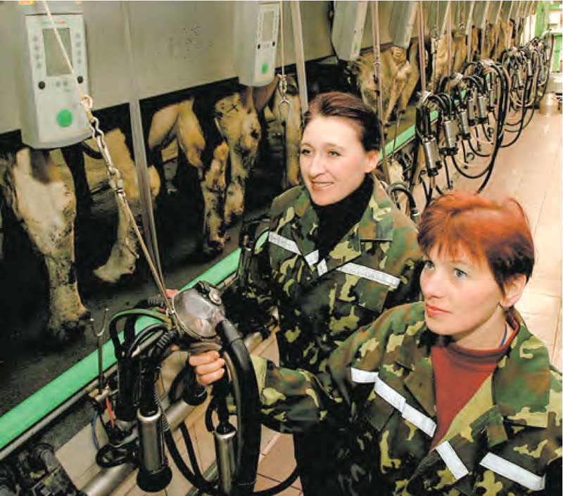 В 2008 г. перешагнули 8–9-тысячный рубеж надоев молока операторы машинодоения Светлана Михайловна Ровба и Светлана Анатольевна Репина