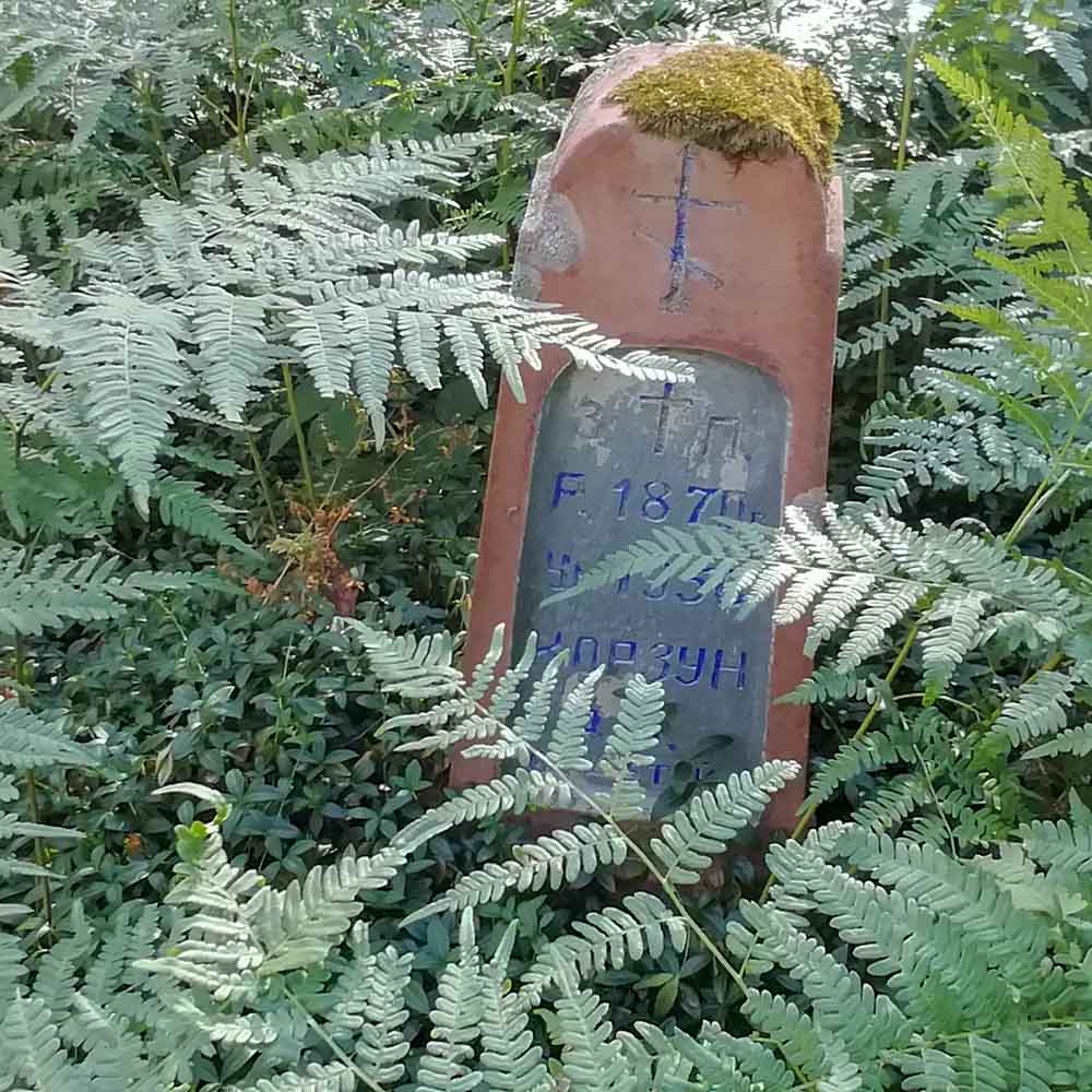 Заброшенное кладбище в лесу