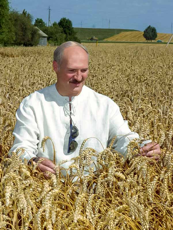 Президент Республики Беларусь Александр Григорьевич Лукашенко в поле