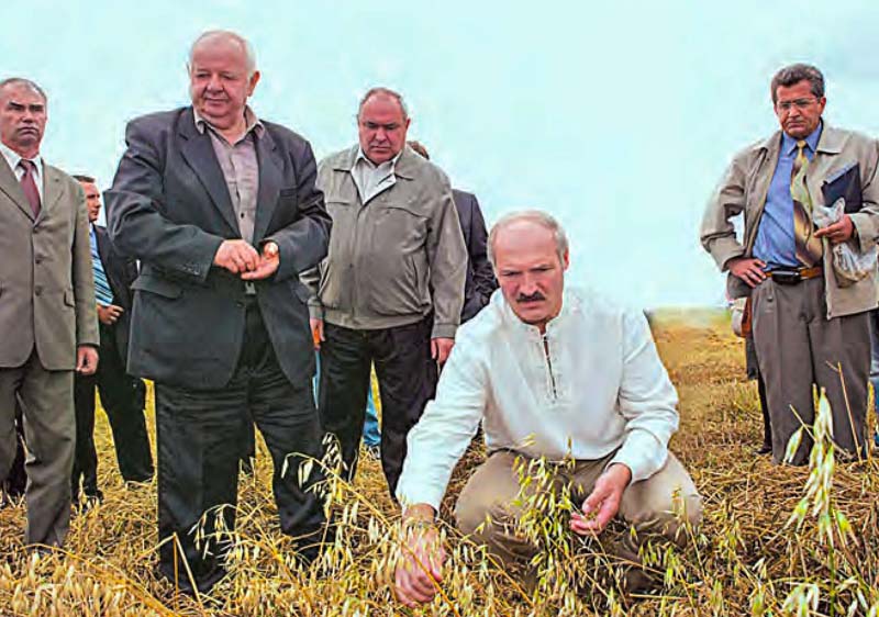 Президент Республики Беларусь Александр Григорьевич Лукашенко на полях СПК «Агрофирма «Лучники». 2005 г.