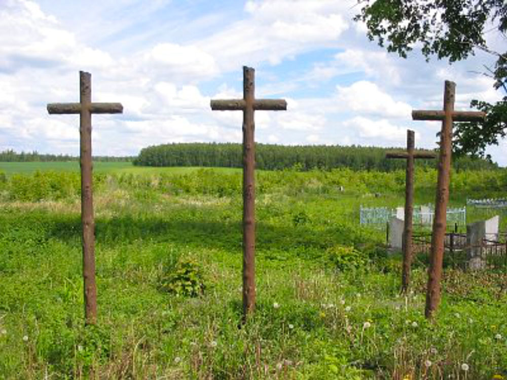 Куковичи. На православном кладбище до сих пор стоят семь металлических крестов в виде обрубков деревьев, там сохранились останки бывших владельцев имения. Фото: Андрей Дыбовский, июнь 2006 г.